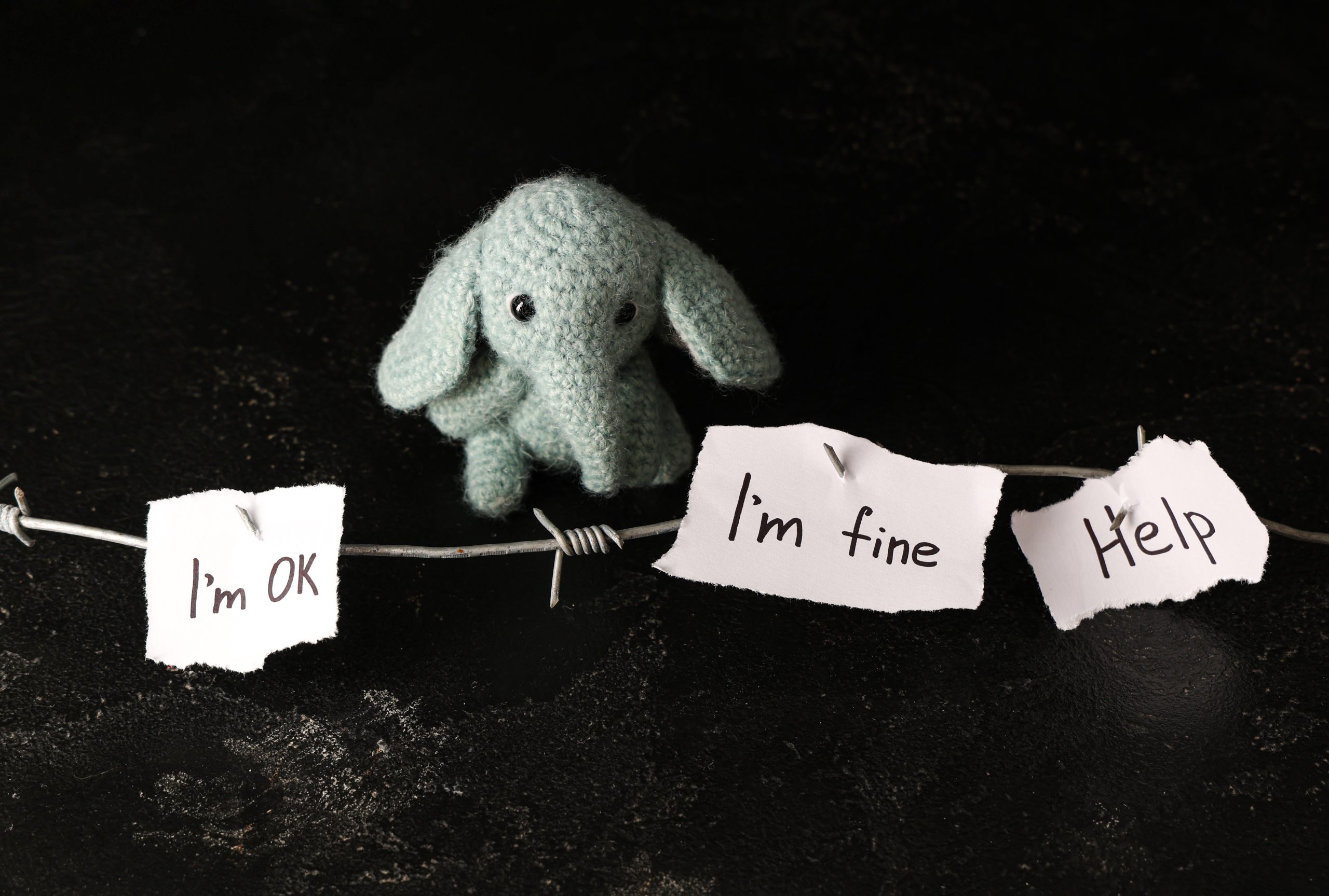Domestic violence intervention – domestic violence awareness